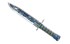 ★ Bayonet | Bright Water