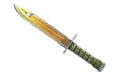 ★ Bayonet | Lore