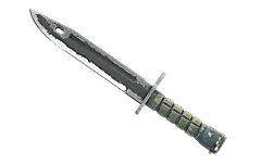 ★ Bayonet | Night