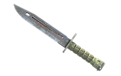 ★ Bayonet | Rust Coat