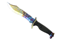 ★ Bowie Knife | Case Hardened