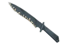 ★ Classic Knife | Night Stripe