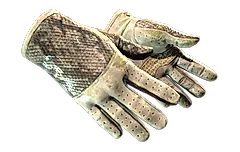 ★ Driver Gloves | King Snake