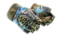 ★ Hydra Gloves | Case Hardened