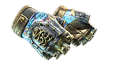 ★ Hydra Gloves | Case Hardened