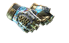 ★ Hydra Gloves | Case Hardened