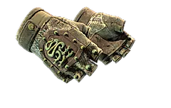 ★ Hydra Gloves | Rattler