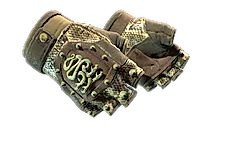 ★ Hydra Gloves | Rattler