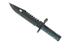 ★ M9 Bayonet | Night
