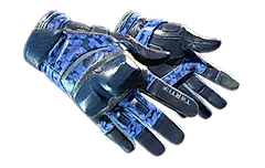 ★ Moto Gloves | Polygon