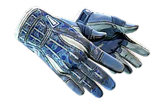 ★ Sport Gloves | Amphibious