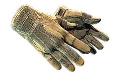 ★ Sport Gloves | Arid