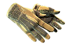 ★ Sport Gloves | Arid