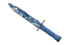 ★ Bayonet | Bright Water