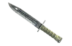 ★ Bayonet | Stained