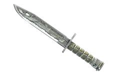 ★ Bayonet | Urban Masked