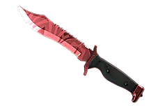 ★ Bowie Knife | Slaughter