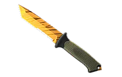 ★ Ursus Knife | Tiger Tooth