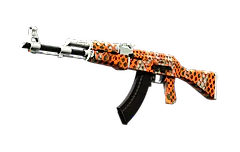 AK-47 | Safety Net