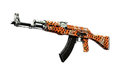 AK-47 | Safety Net