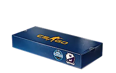 ESL One Cologne 2014 Cobblestone Souvenir Package
