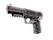 Five-SeveN | Desert Seal (Battle-Scarred)