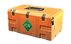 Gallery Case