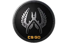 Guardian Elite Pin