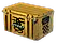 Operation Hydra Case