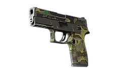 P250 | Boreal Forest