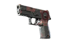 P250 | Constructivist