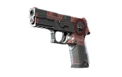 P250 | Constructivist