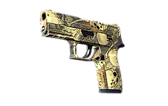P250 | Contamination