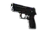 P250 | Dark Filigree