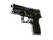 P250 | Dark Filigree (Well-Worn)