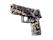 P250 | Drought (Well-Worn)