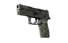 P250 | Exchanger