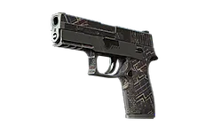 P250 | Facility Draft