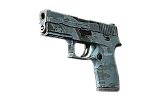 P250 | Forest Night