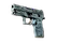 P250 | Forest Night (Well-Worn)