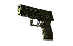 P250 | Iron Clad