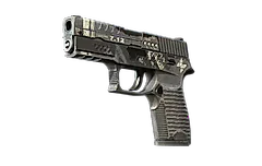 P250 | Re.built