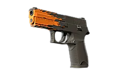 P250 | Splash