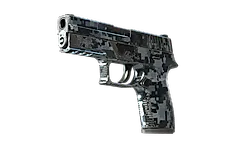 P250 | Steel Disruption