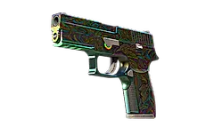 P250 | Visions