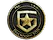 Patch | Gambit Gaming (Gold) | Stockholm 2021