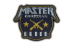 Patch | Metal Master Guardian Elite