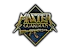 Patch | Metal Master Guardian