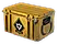 Revolution Case