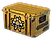 Revolver Case